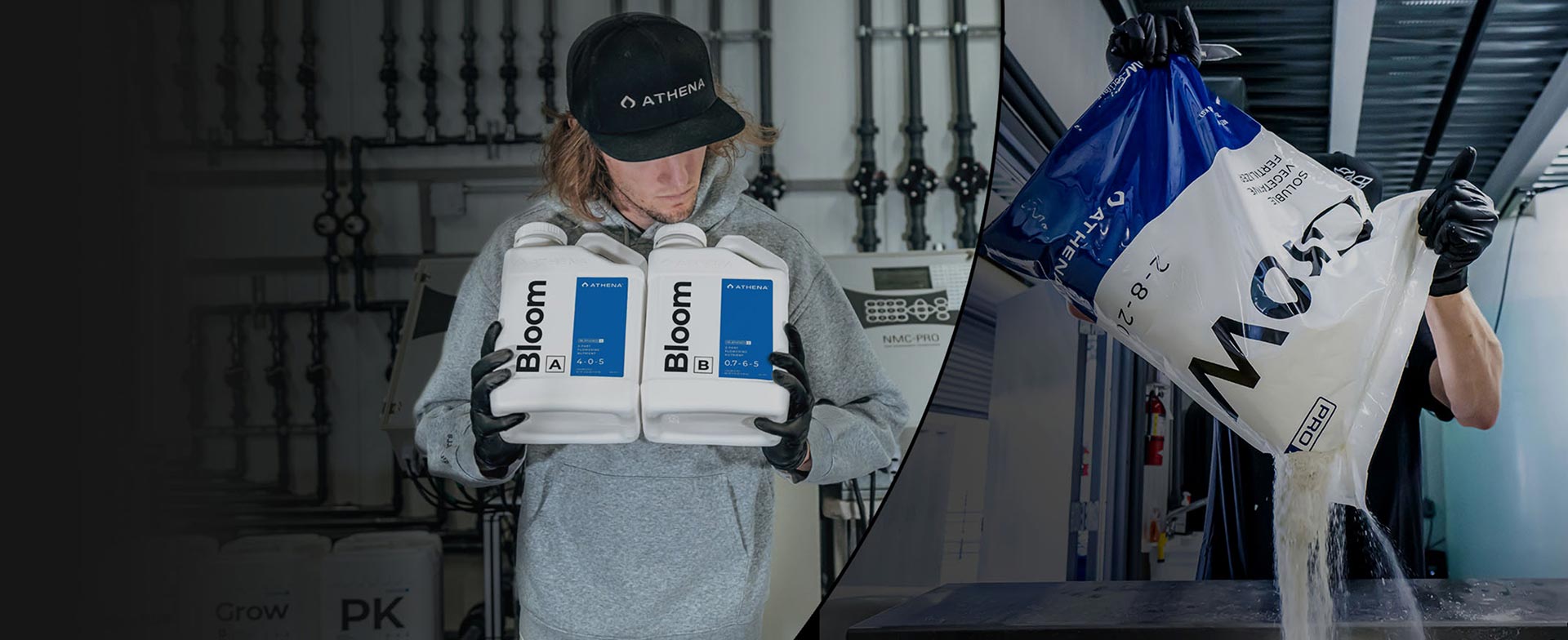 Athena Fertilization