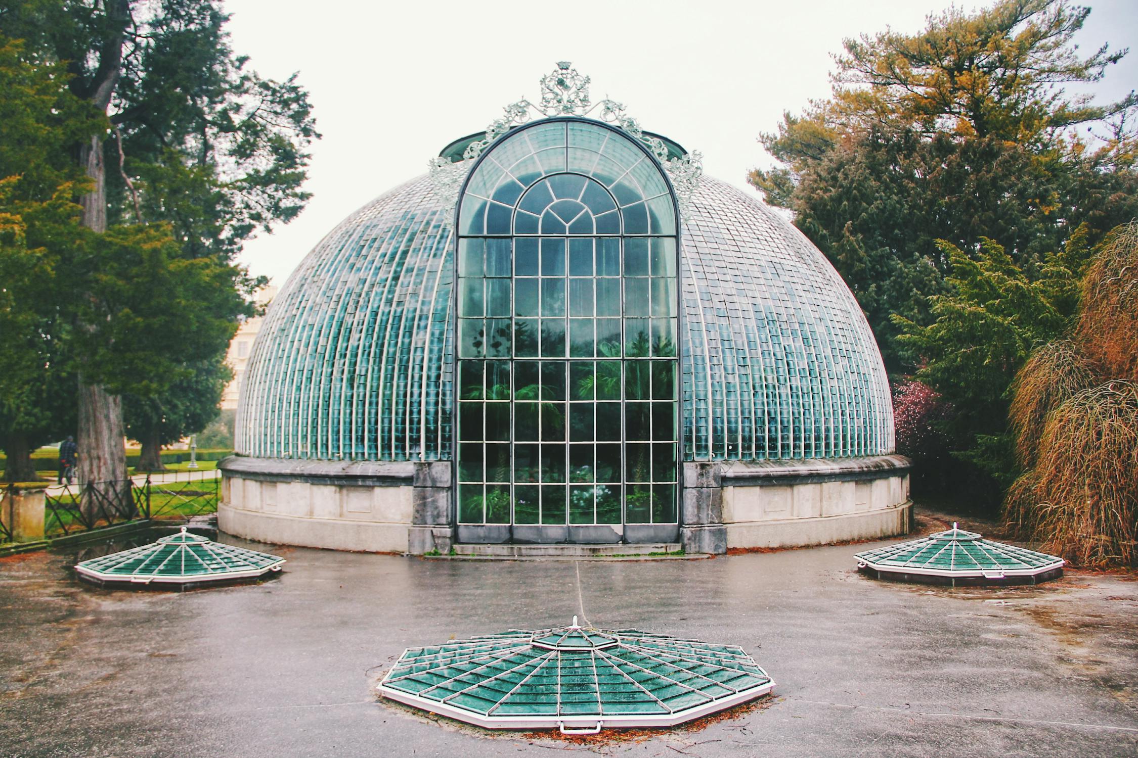 Elegant glass dome greenhouse exterior surrounded by trees