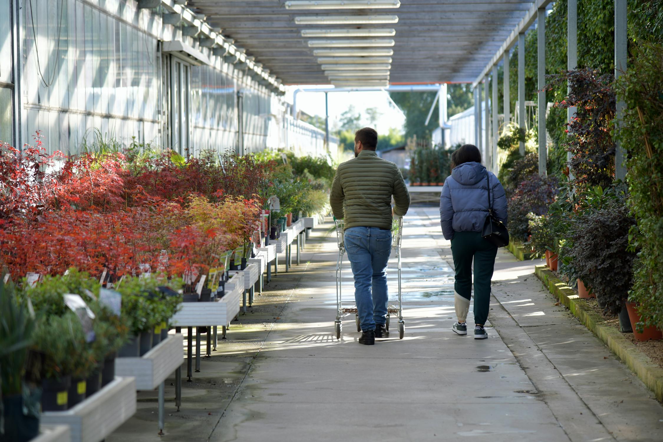 Customers shopping at an outdoor garden center nursery