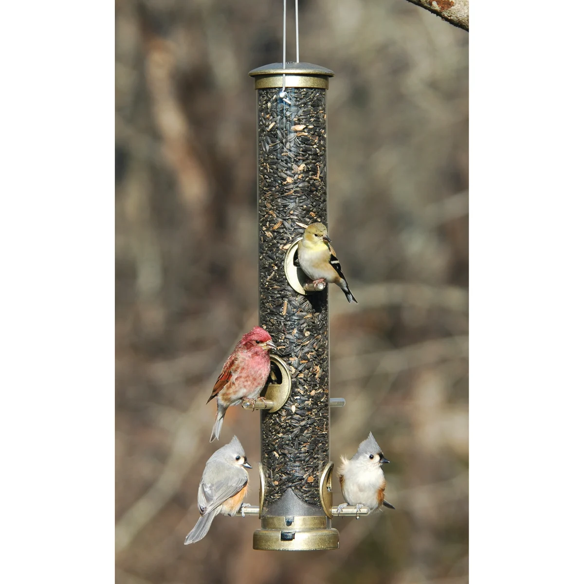 Aspects Antique Brass Seed Tube Feeder Quick Clean - Image 3