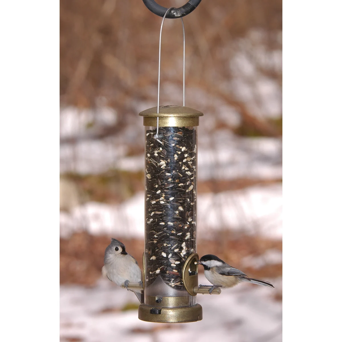 Aspects Antique Brass Seed Tube Feeder Quick Clean - Image 4