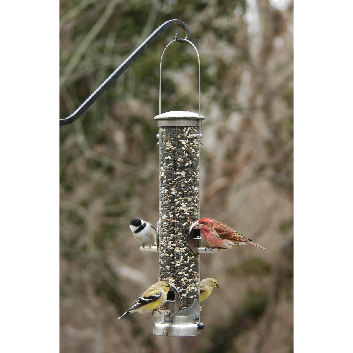 Aspects Brushed Nickel Seed Tube Feeder Quick Clean - Image 2