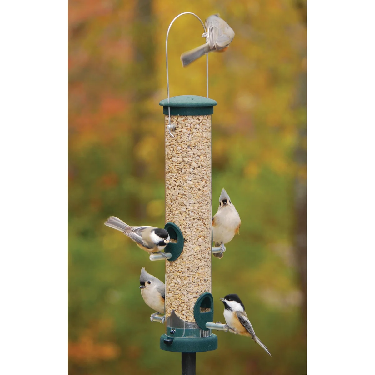 Aspects Spruce Quick Clean Tube Seed Feeder - Image 3