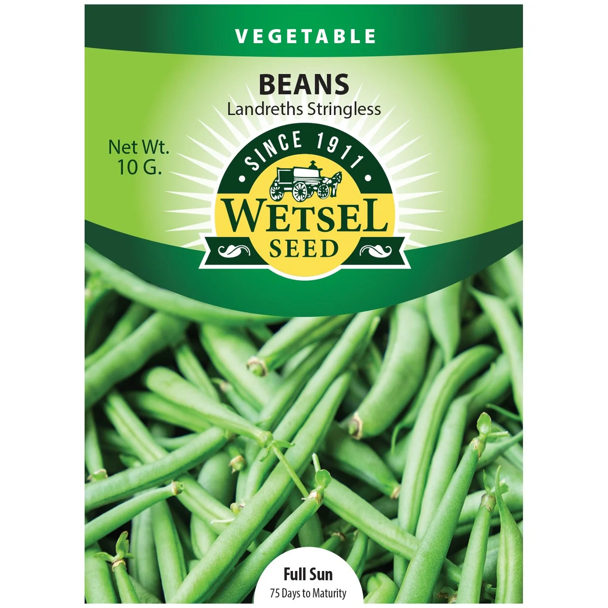 Beans, Burpee Stringless - Image 2