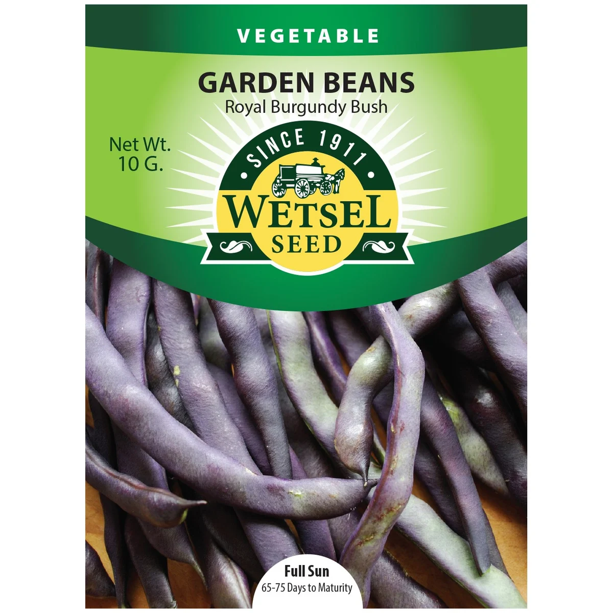 Beans, Royal Burgundy Bush - Image 2
