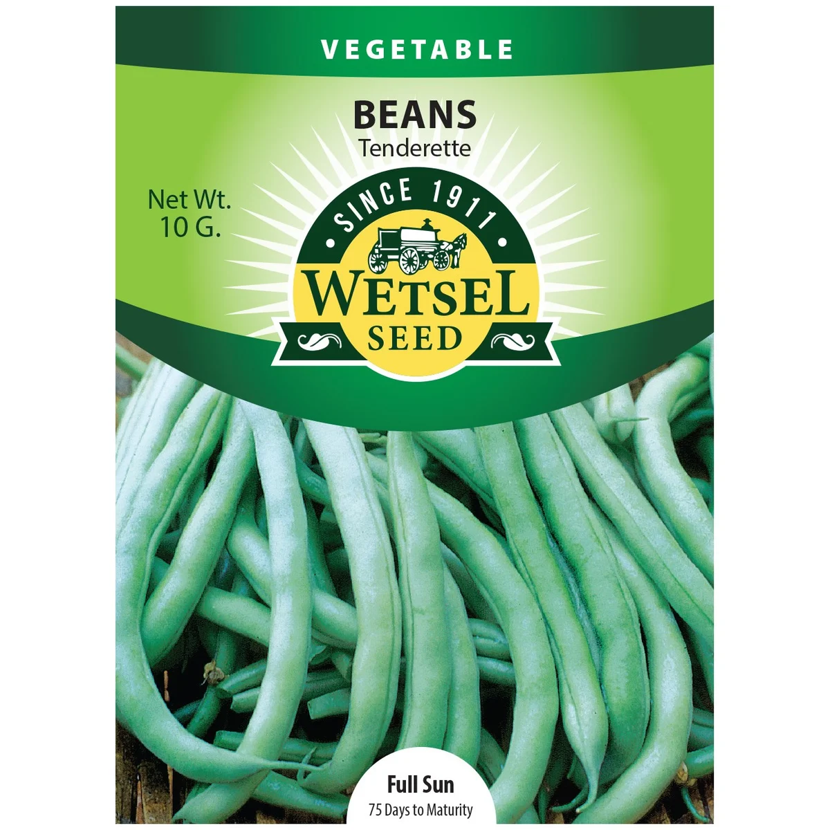 Beans, Tenderette Bush - Image 2