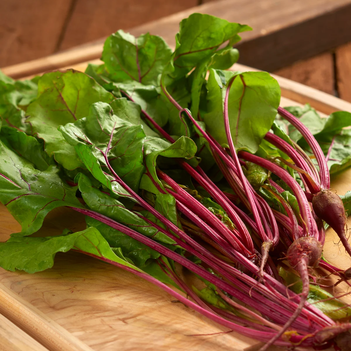 Beets, Bull's Blood 1 - Image 3