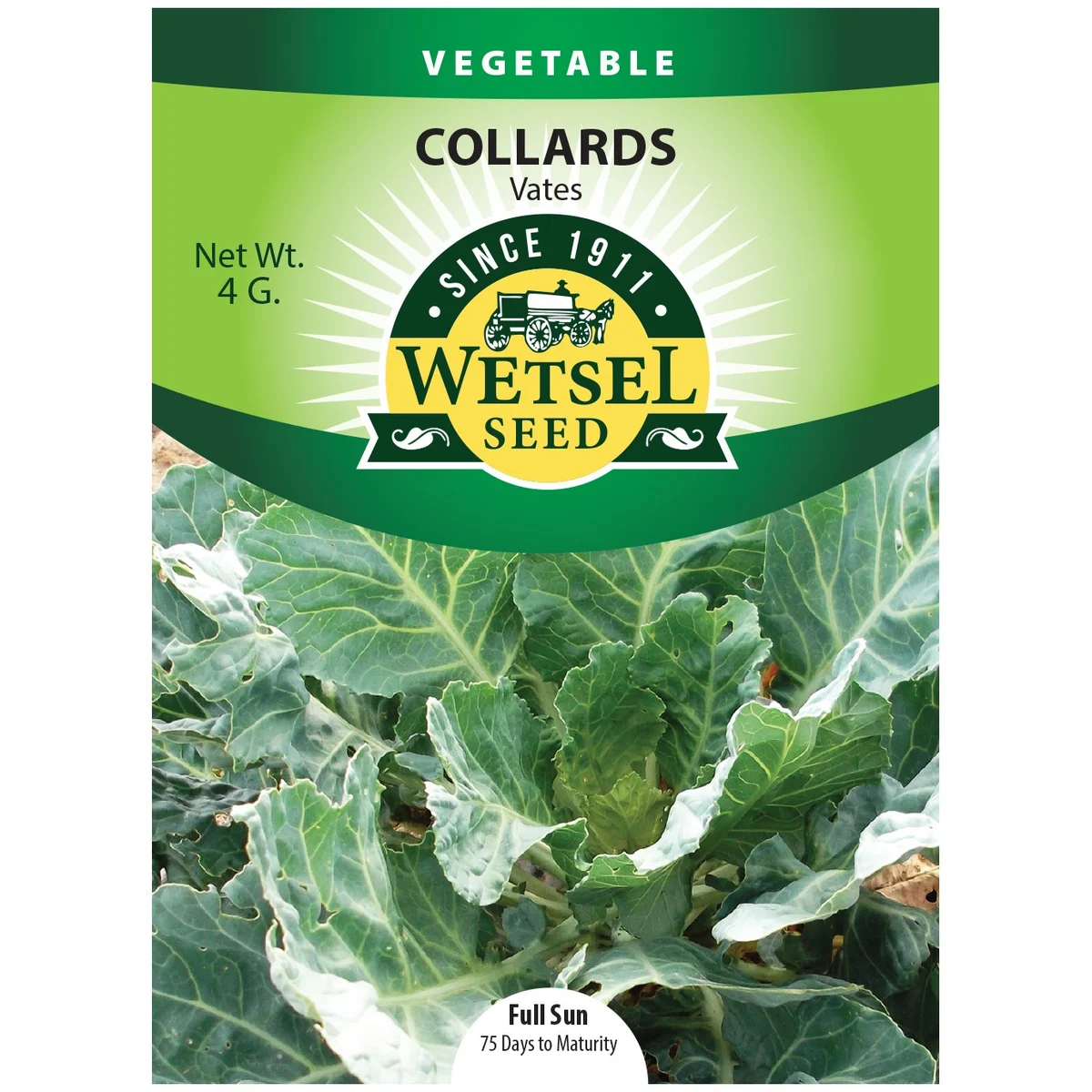 Collards, Vates - Image 2