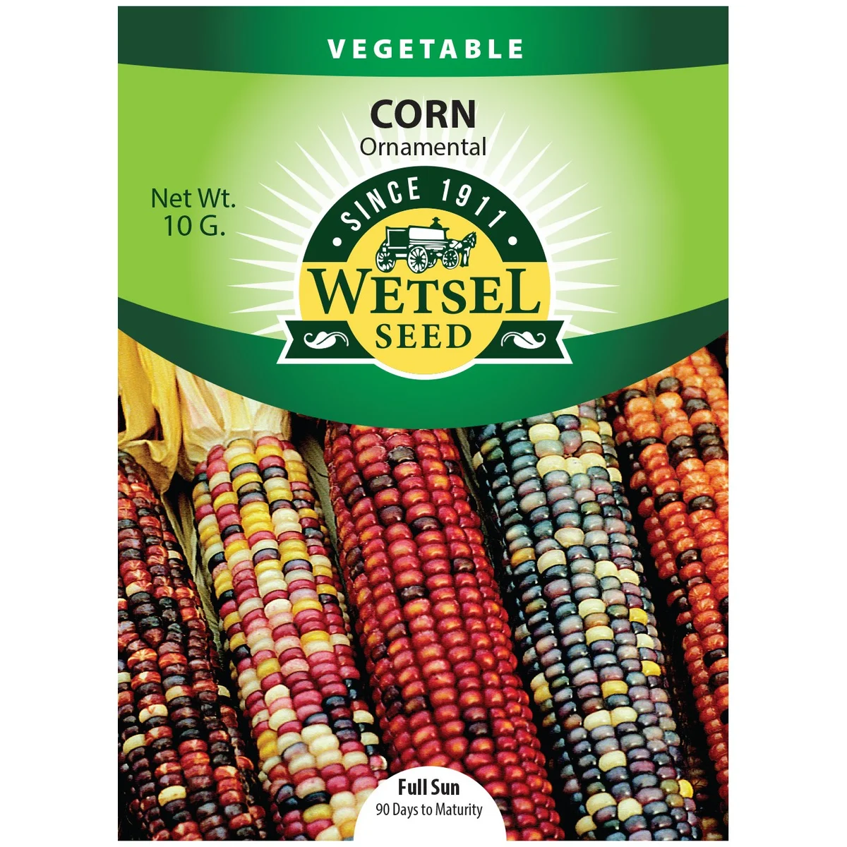 Corn, Ornamental - Image 2