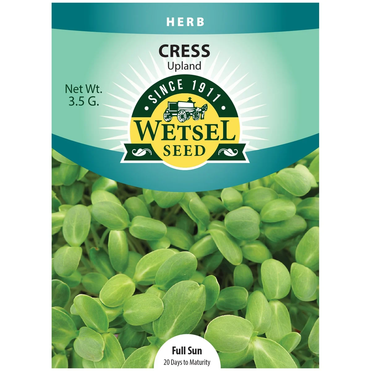 Cress, Upland - Image 2