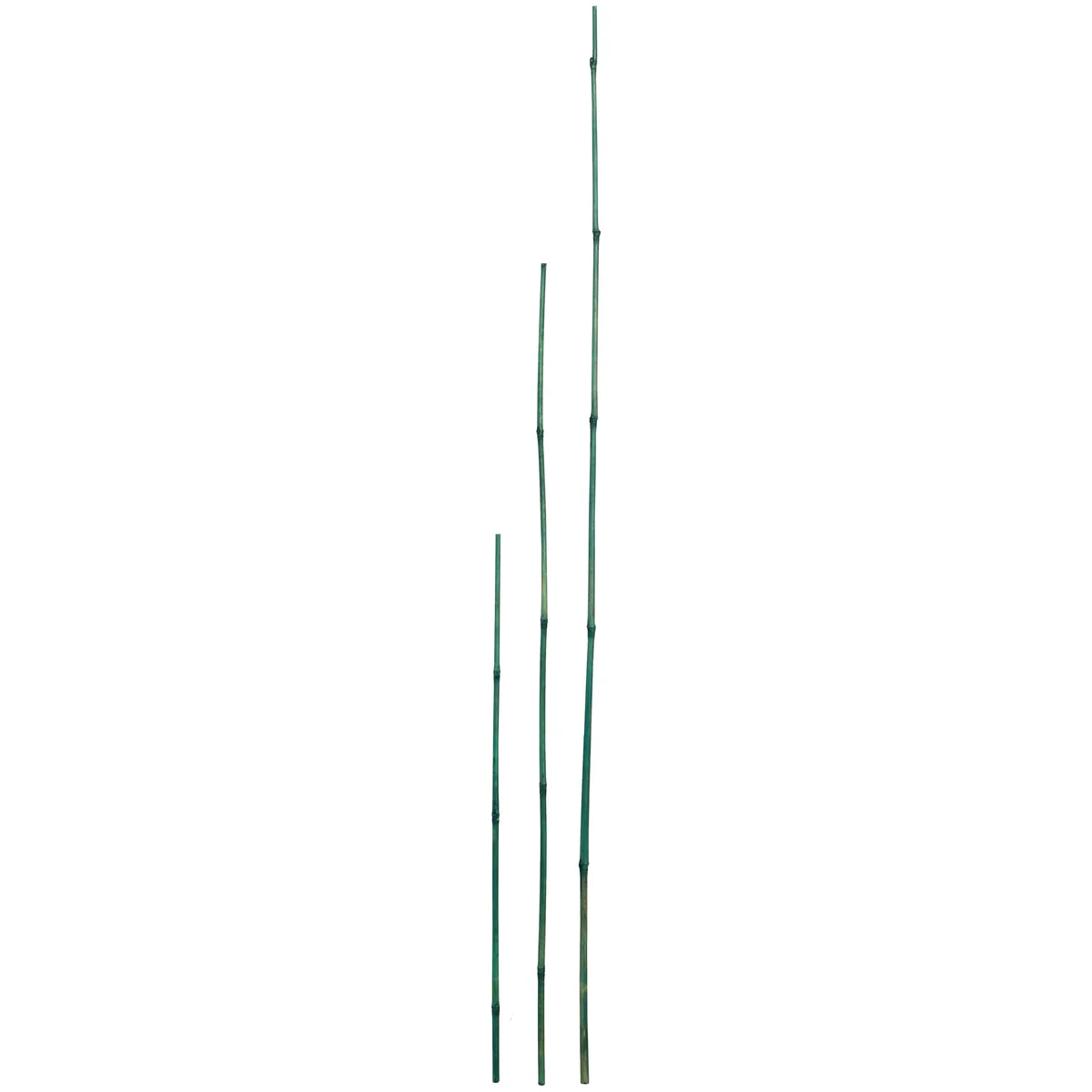 D&D Garden Green Packaged Bamboo Stakes - Image 2