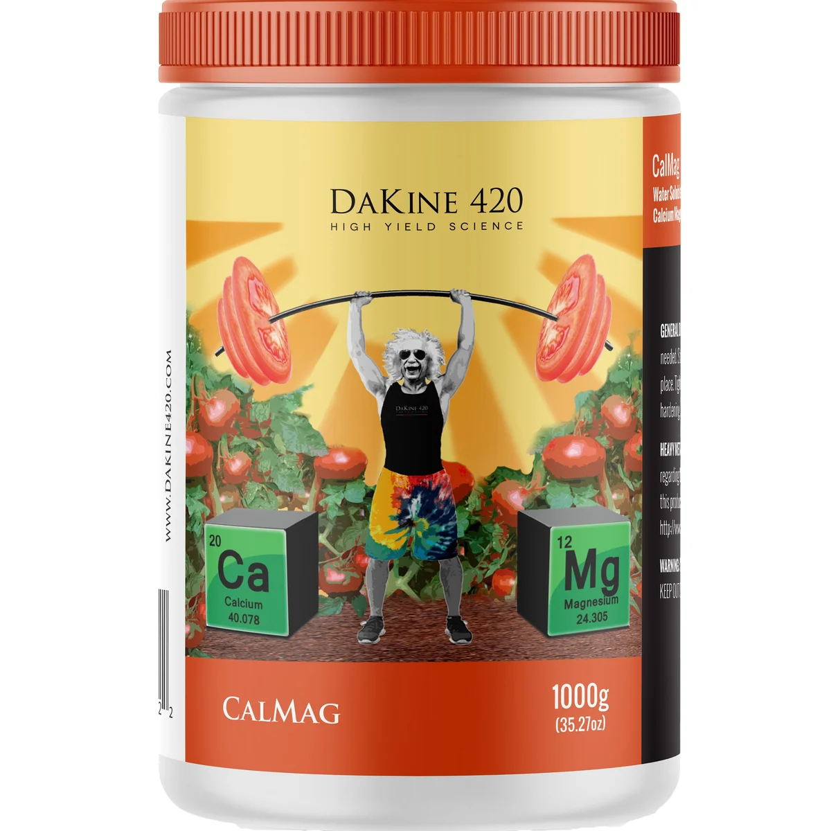 Dakine holdings (DAKCM1000) - Image 2