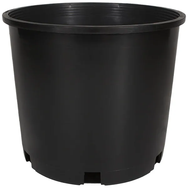 Dillen 04.00 Round Standard Thinwall Pot, Black , 1.01Pint