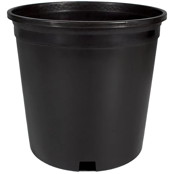 Dillen 04.00 Round Standard Thinwall Pot, Green , 1.01Pint