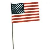 FlagZone 4"x6" US Hand Flag