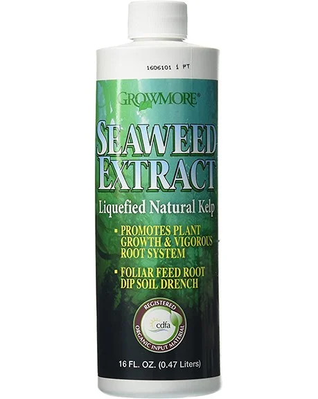 Grow More Seaweed Extract - Image 2