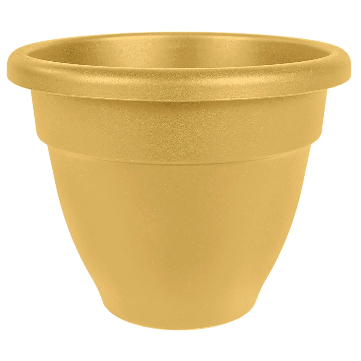 HC Caribbean Planter Honey - Image 4