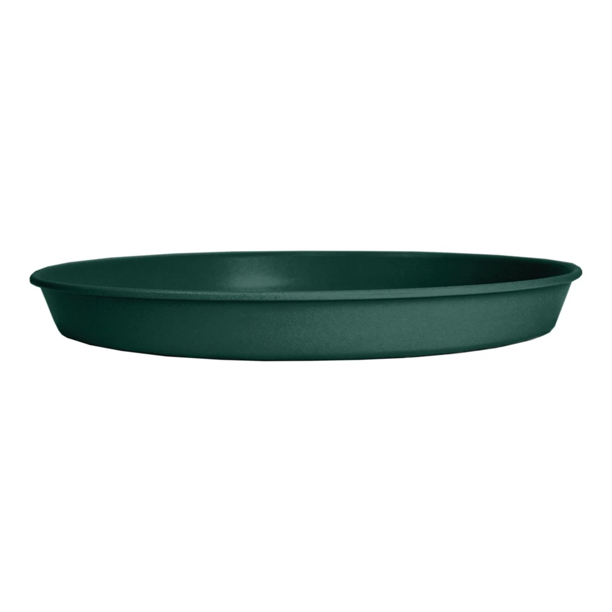 HC Prima Saucer in Evergreen - Image 6