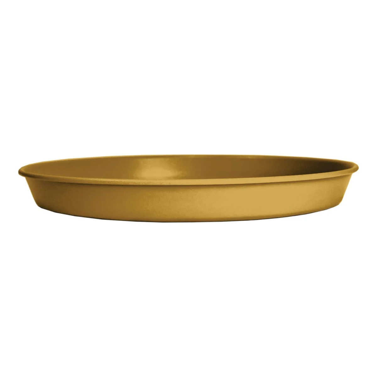 HC Prima Saucer in Honey - Image 6
