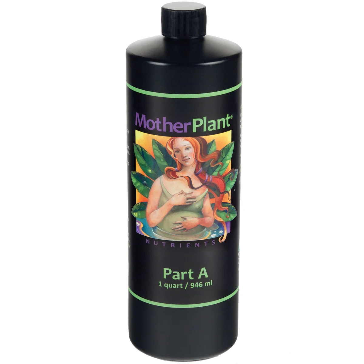 Hydrodynamics International HDI 32oz Motherplant Part A Quart - Image 2