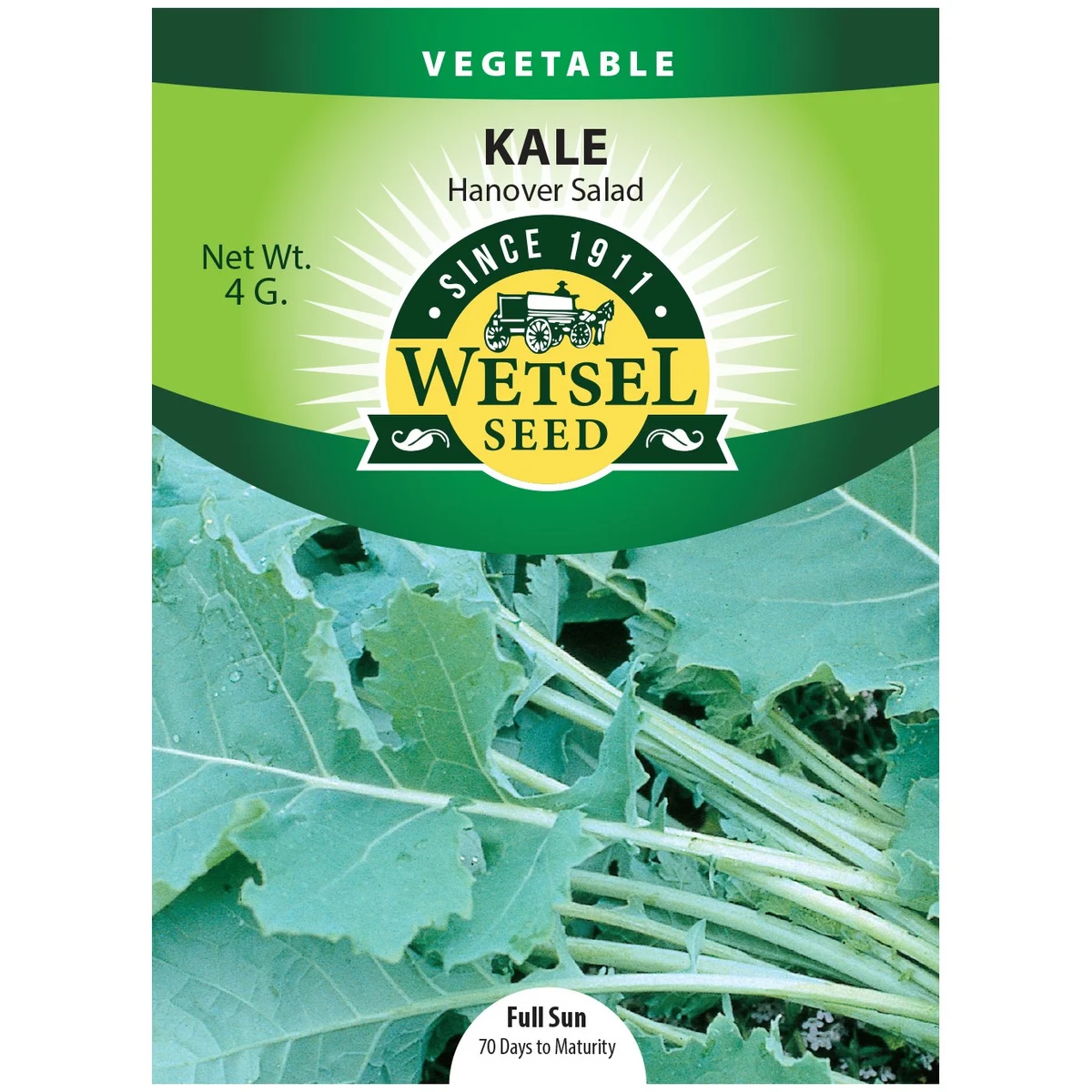 Kale, Hanover Salad - Image 2