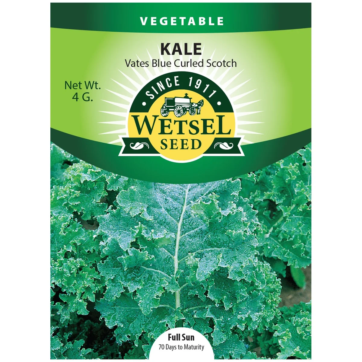 Kale, Vates Blue Curled Scotch - Image 2