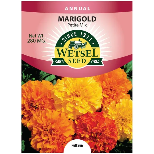 Marigolds, Dainty Marietta 280 MG
