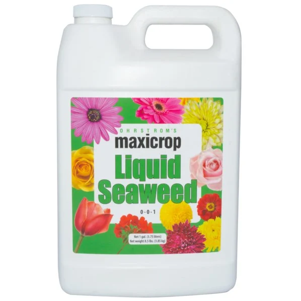 Maxicrop Original Liquid Seaweed 0-0-1 - Image 3