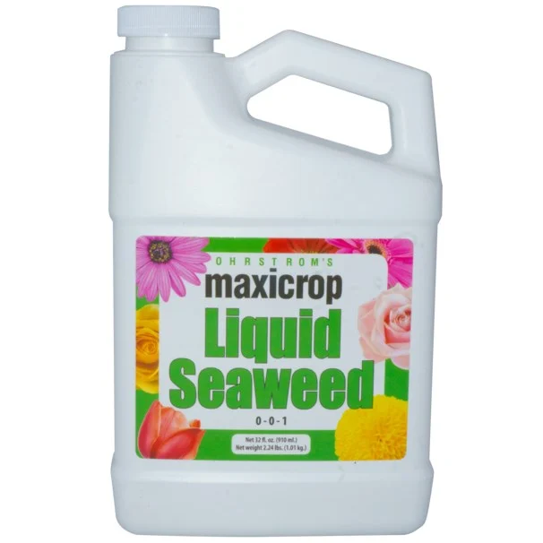 Maxicrop Original Liquid Seaweed 0-0-1 - Image 2