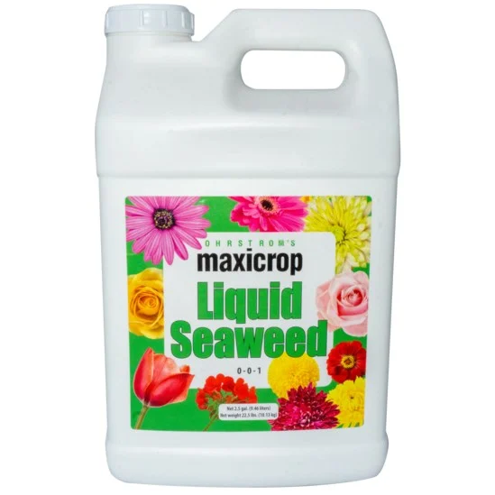 Maxicrop Original Liquid Seaweed 0-0-1 - Image 4