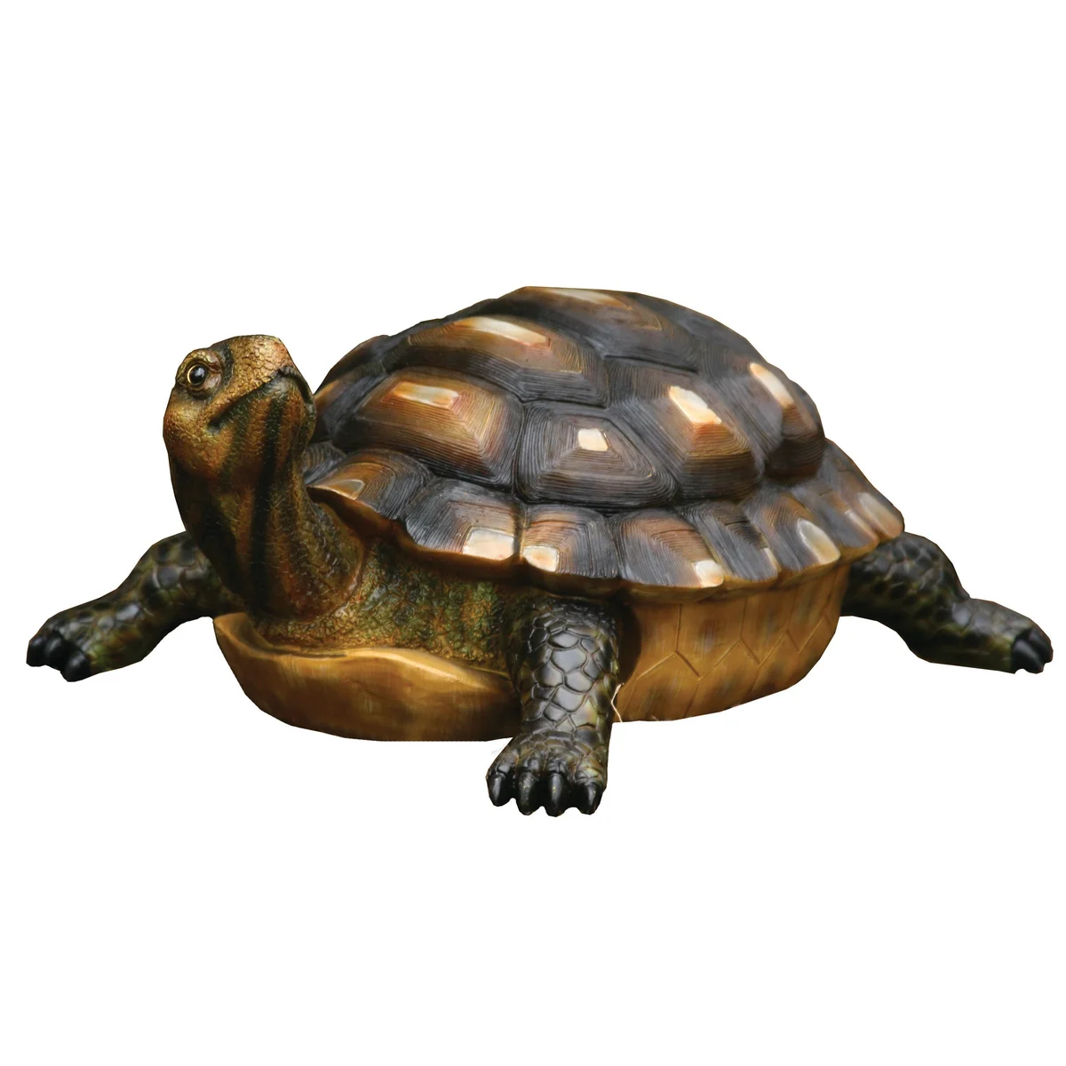 MCarr Turtle - Image 2