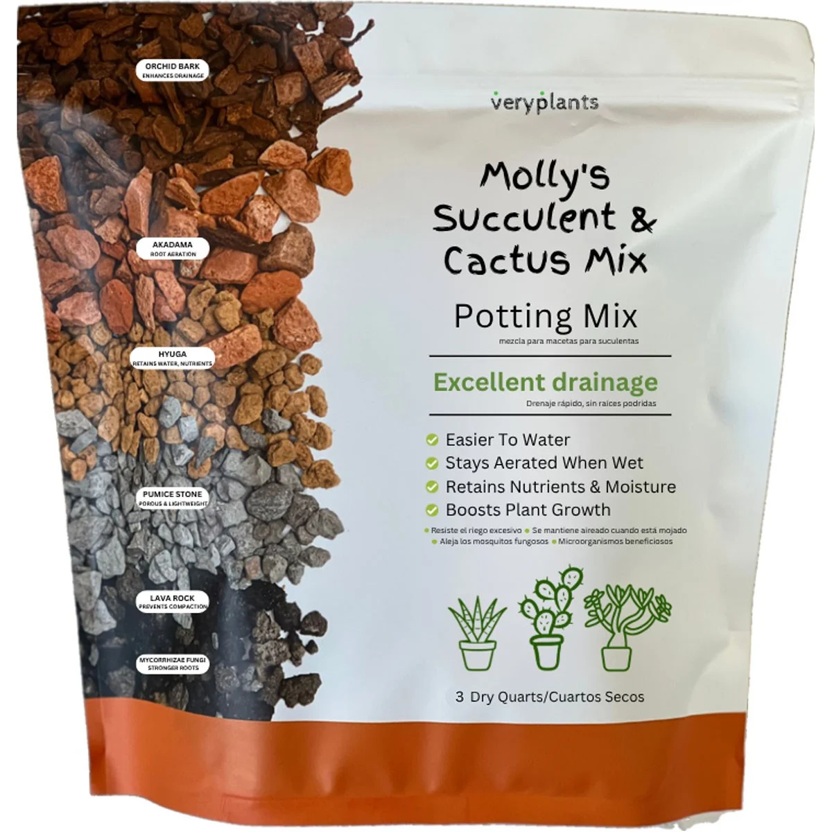 Molly's Succulent Mix - Image 2