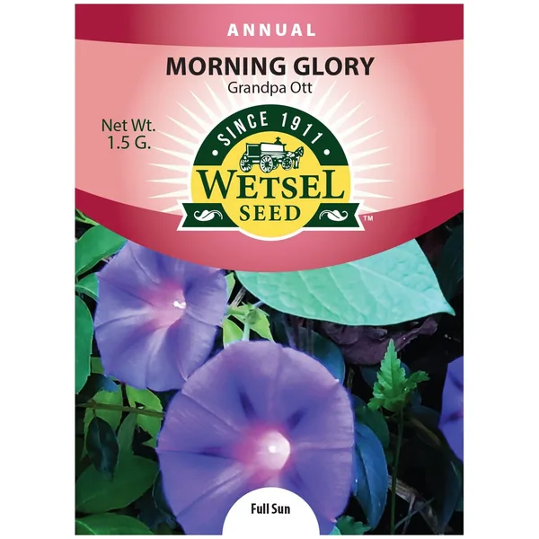 Morning Glory, Mixed Colors 1.5 Grams