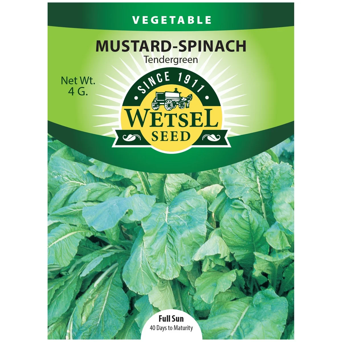 Mustard Spinach, Tendergreen - Image 2