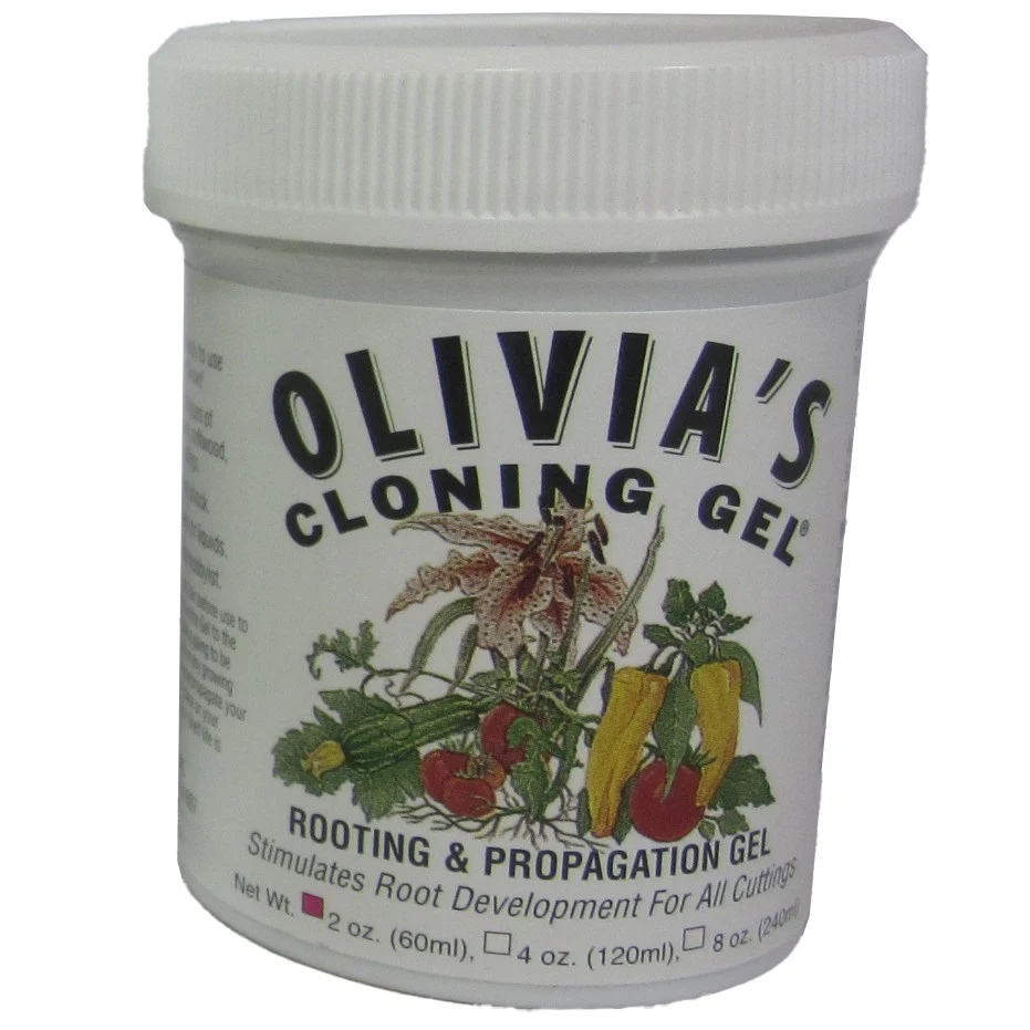 Olivia's Solutions Cloning Gel - Image 2