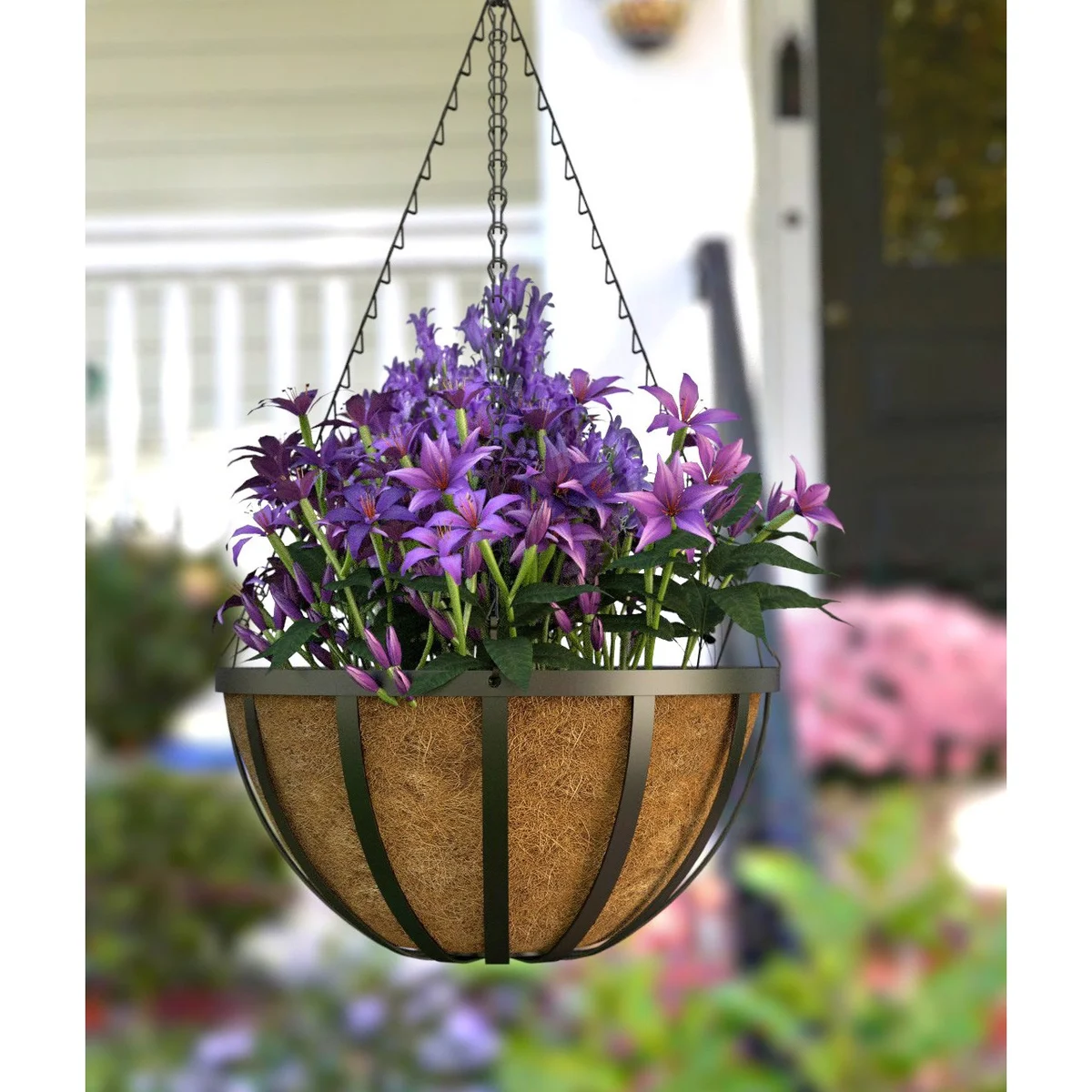 Panacea English Hanging Basket W/ Coco Liner - Image 2