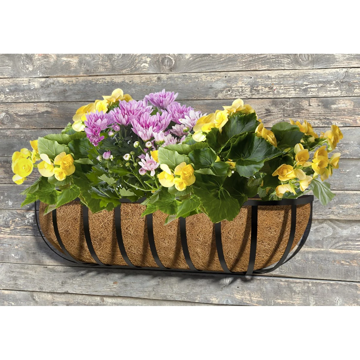 Panacea English Trough Planter Basket W/ Coco Liner - Image 3