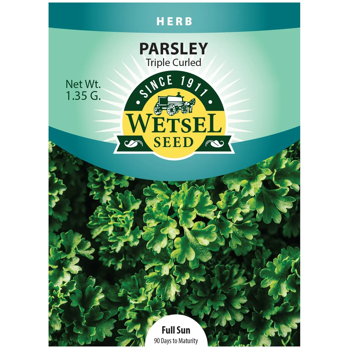 Parsley, Triple Curled - Image 2