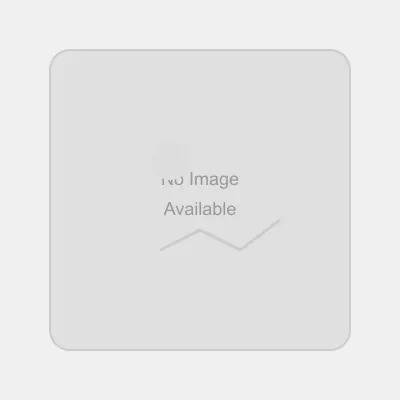 Speed Bully Motor Speed Controller (Refurbished)