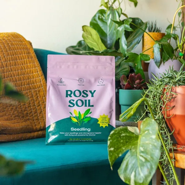 Rosy Soil 4qt Seedling Mix
