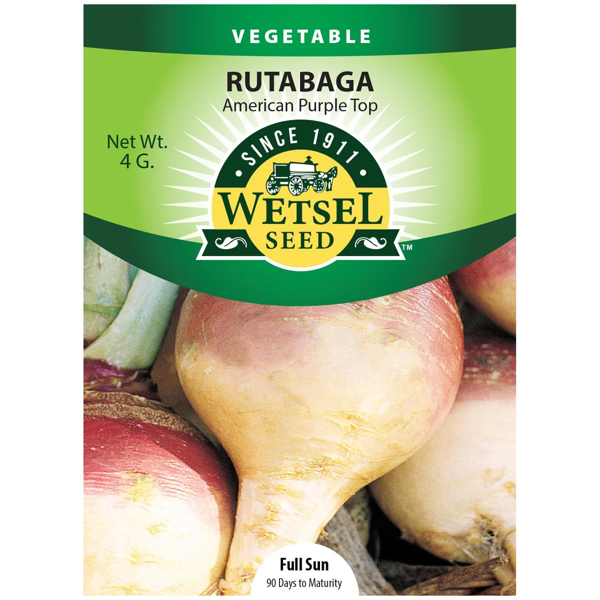 Rutabaga, American Purple Top - Image 2