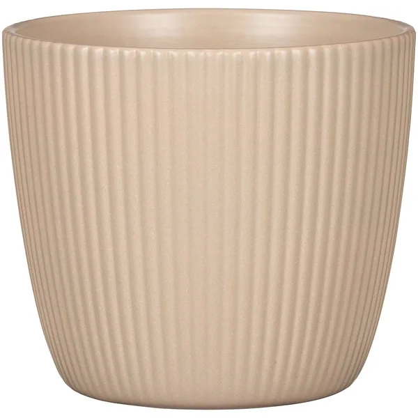 Scheurich 7.5" 842/19 Planter Dry Reed
