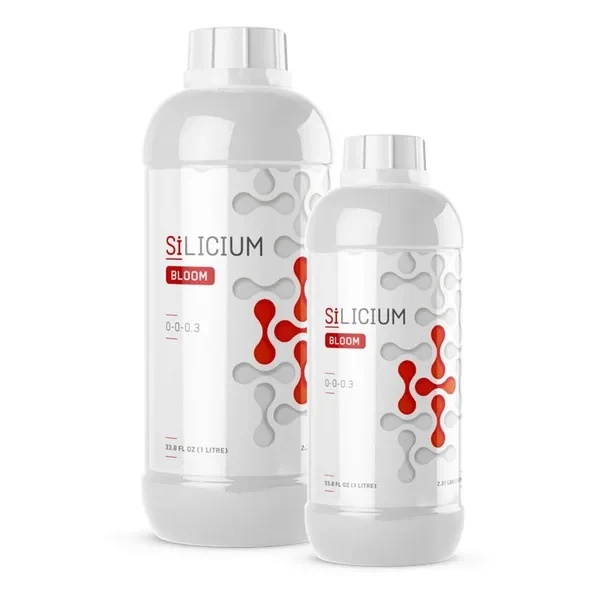 Silicium
