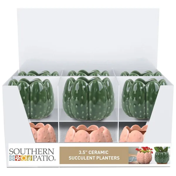 Southern Patio Small Wilder Cactus Succulent Planter Tray