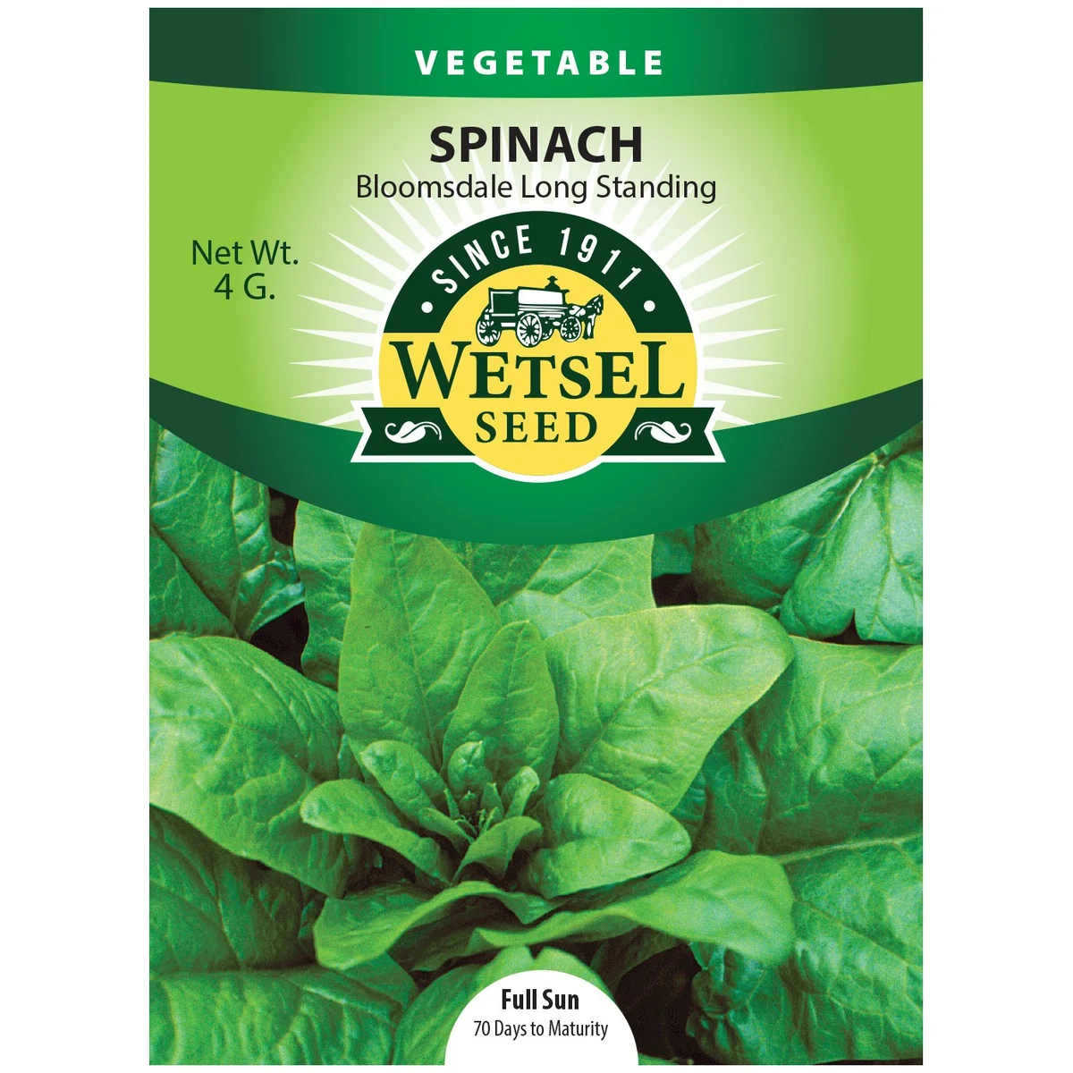 Spinach, Bloomsdale Long Standing - Image 2