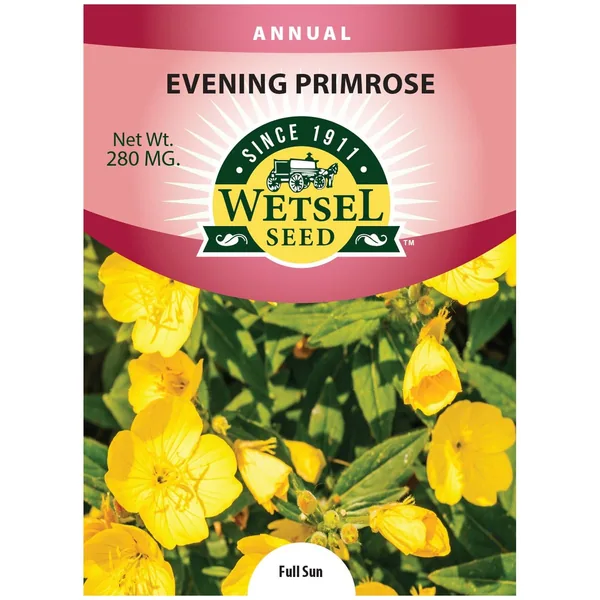 Stock, Evening Scented 700 MG