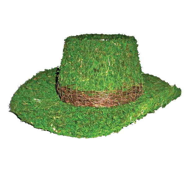 SuperMoss Deco Baskets - Cowboy Hat Planter