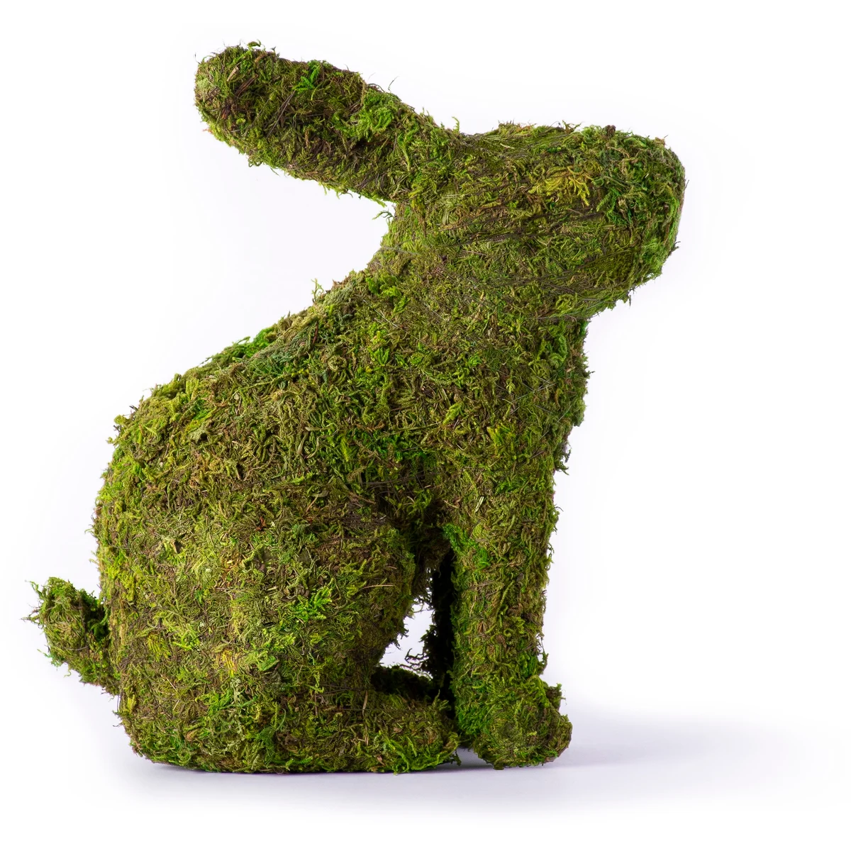 SuperMoss Deco Bunny Planter
