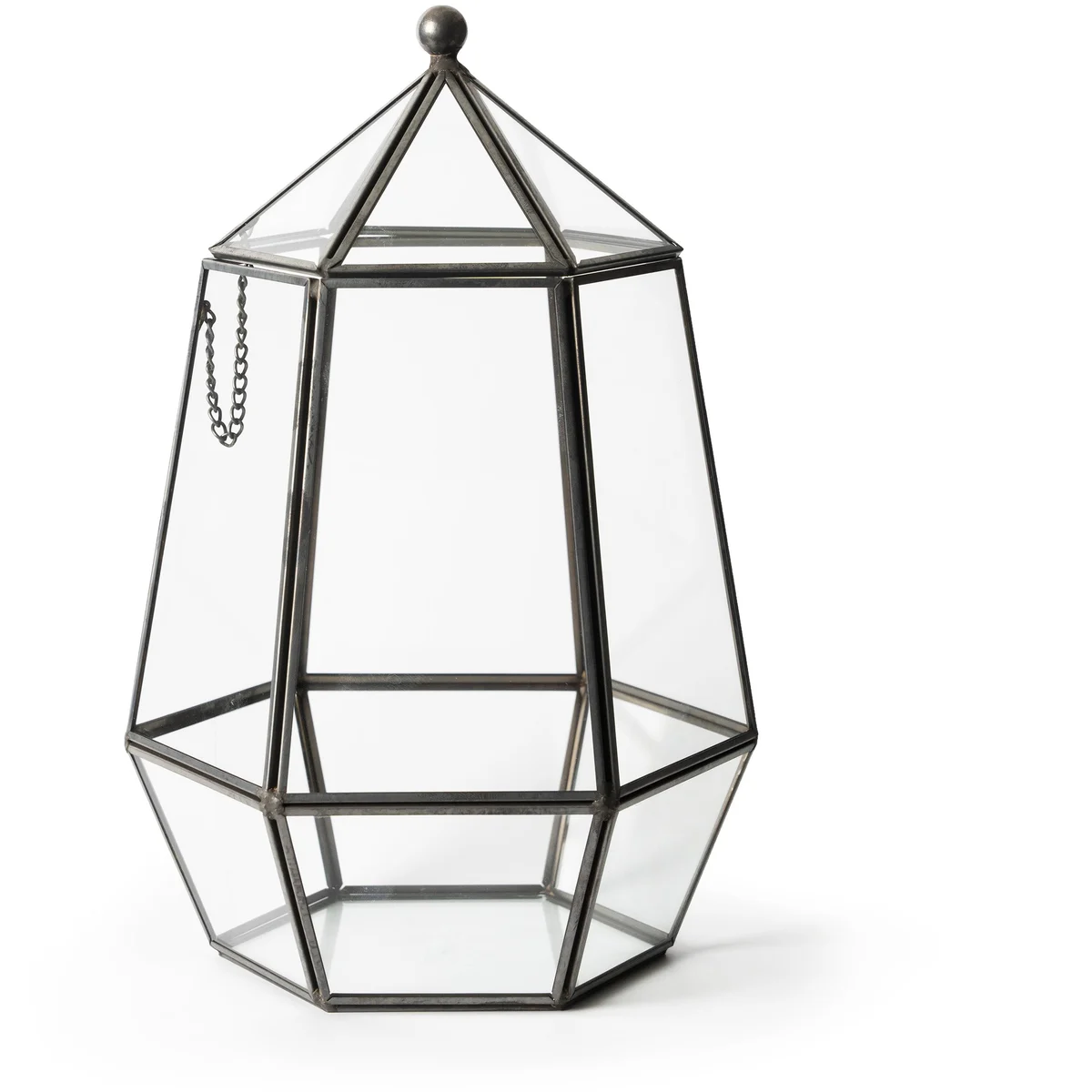 SuperMoss Glass Terrarium