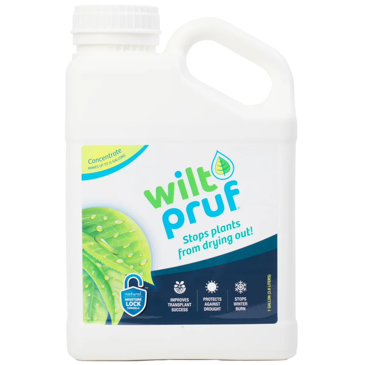 Wilt-Pruf Plant Protector Moisture Lock Concentrate - Image 2